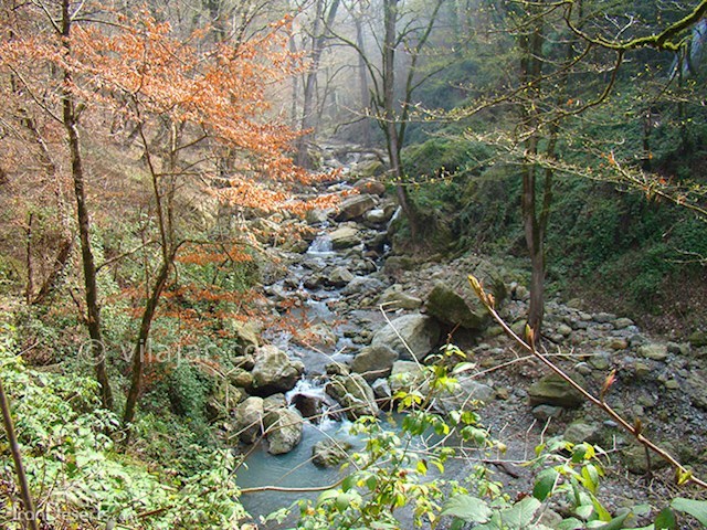 عکس شماره 5 - دهکده شفیع آباد گلستان