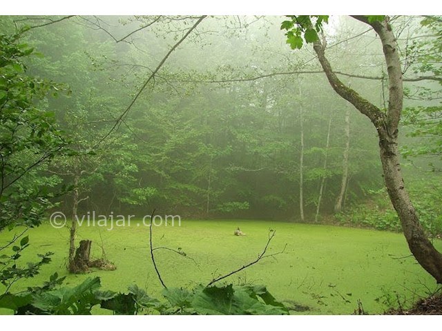 عکس شماره 4 - آبشار سمبی