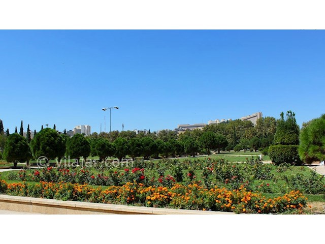 عکس شماره 4 - باغ ارم شیراز