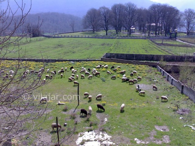 عکس شماره 3 - دهکده ورند