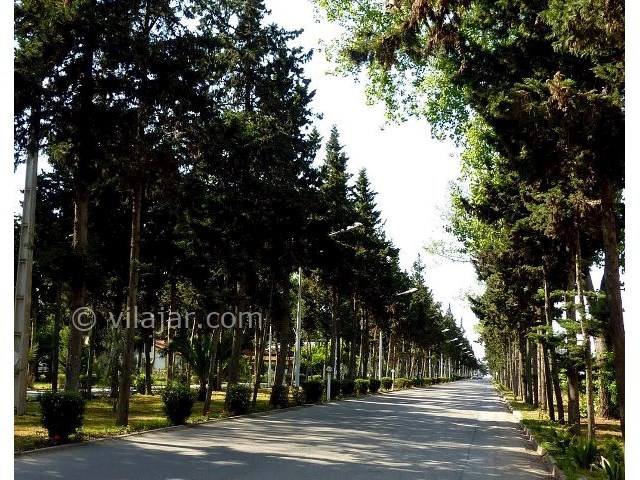 عکس شماره 6 - شهرک ساحلی دریاکنار