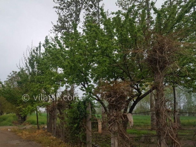 عکس شماره 5 - زرگر، روستای عجیب ایران
