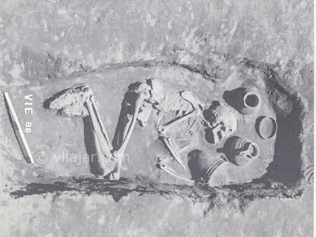 عکس شماره 5 - تپه حسنلو و جام زرین حسنلو