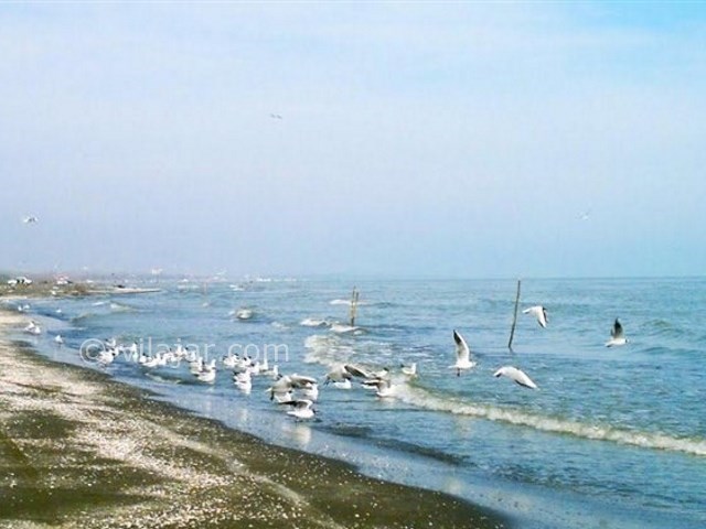 عکس اصلی شماره 1 - ساحل رامدشت گیلان