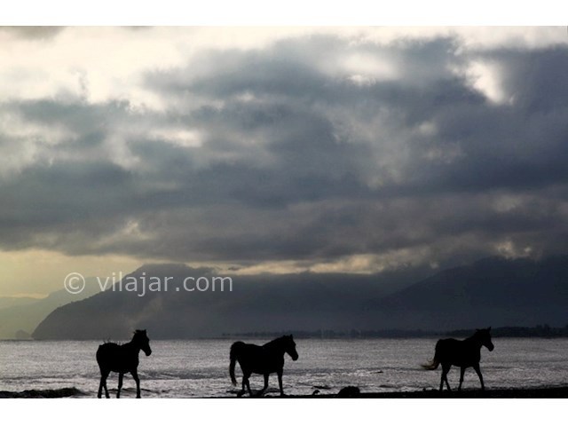 عکس شماره 4 - ساحل رامدشت گیلان