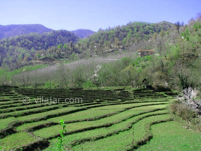 عکس اصلی شماره 1 - روستای لمسوکلا