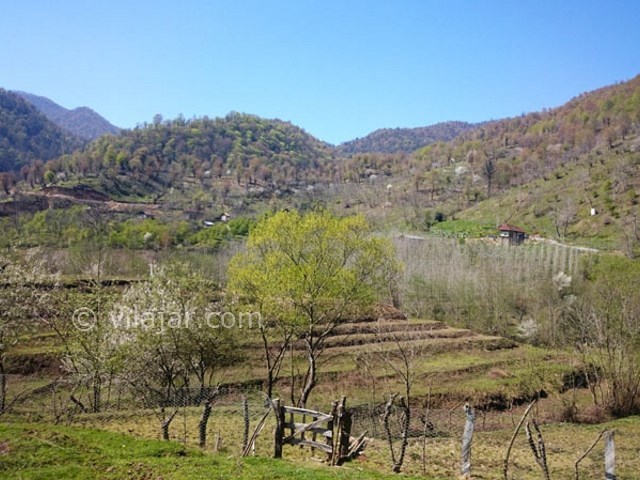 عکس شماره 3 - روستای لمسوکلا