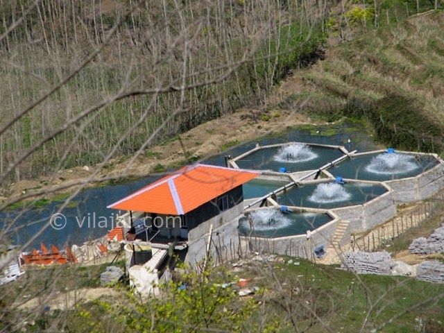 عکس شماره 4 - روستای لمسوکلا