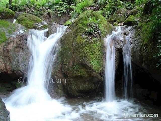 عکس شماره 3 - جنگل و چشمه نیلبرگ
