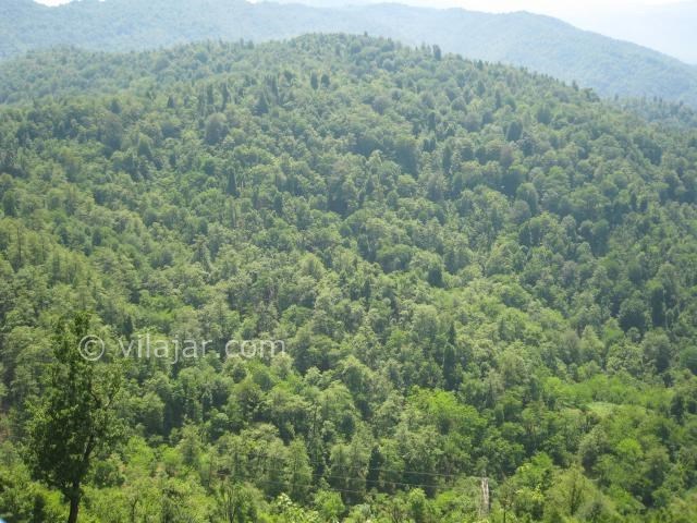 عکس شماره 21 - تله کابین رامسر