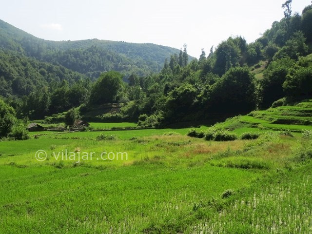 عکس شماره 4 - روستای دیورش در گیلان
