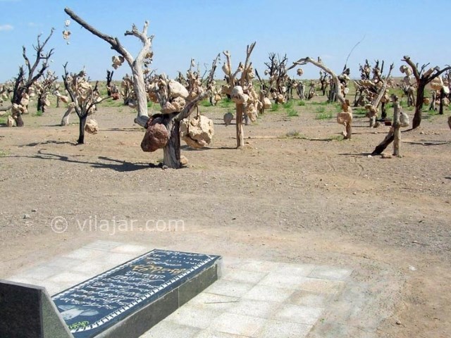 عکس شماره 3 - باغ سنگی سیرجان