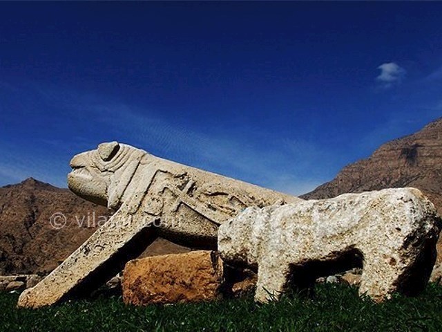 عکس شماره 3 - دشت سوسن