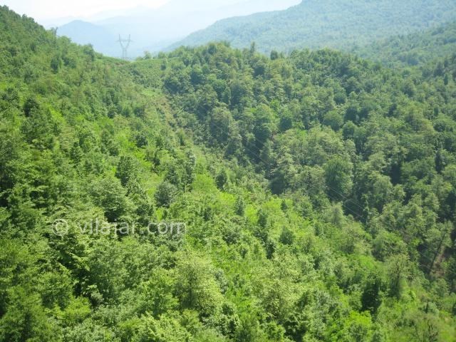 عکس شماره 23 - تله کابین رامسر