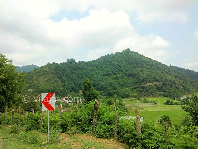 عکس شماره 6 - روستای جنگلی کیشون بن تالش
