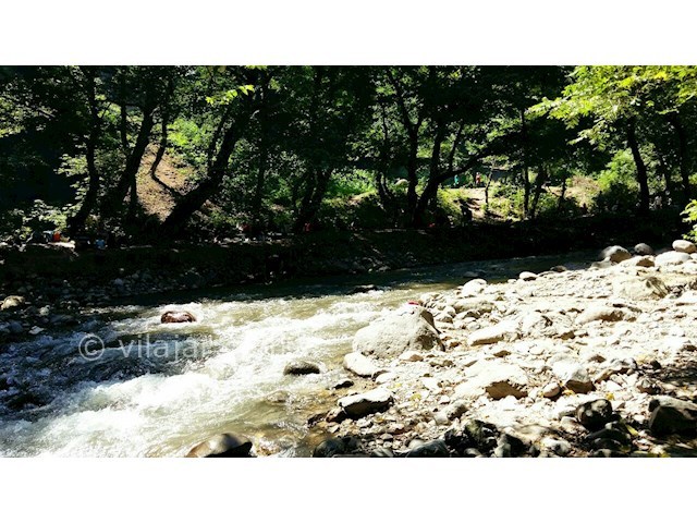 عکس شماره 10 - روستای جنگلی کیشون بن تالش