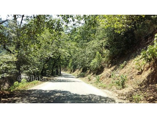 عکس شماره 11 - روستای جنگلی کیشون بن تالش