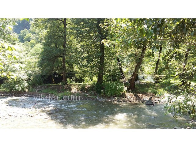 عکس شماره 20 - روستای جنگلی کیشون بن تالش