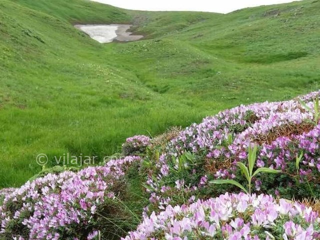 عکس شماره 3 - قوشاداغ و تالاب قوچ گولی