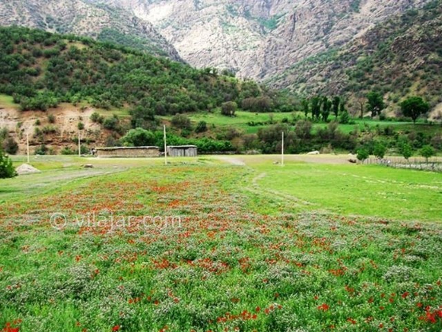 عکس شماره 3 - دره نی گاه