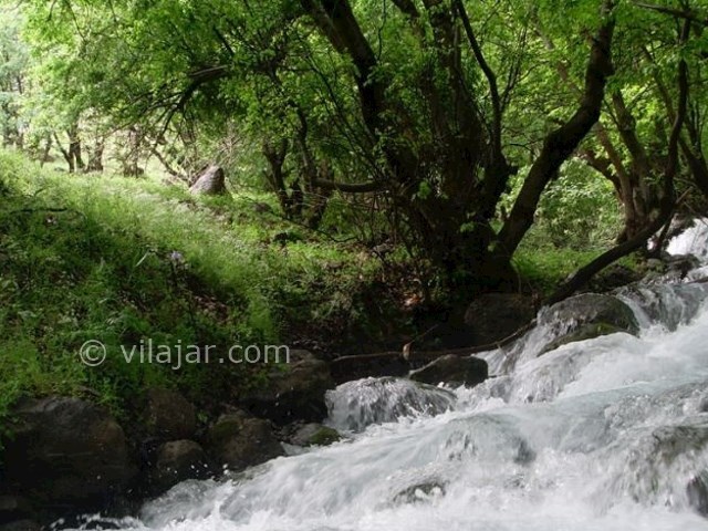 عکس شماره 4 - دره نی گاه