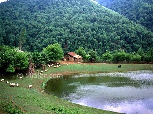 عکس شماره 3 - جنگل فندقلو اردبیل