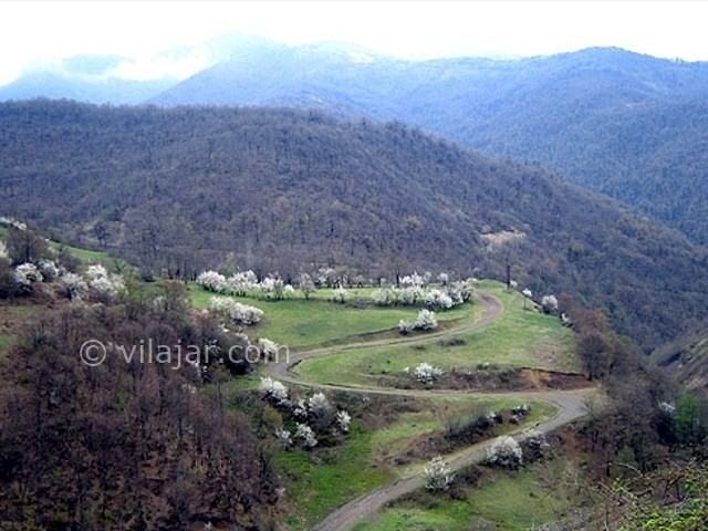 عکس شماره 4 - جنگل فندقلو اردبیل