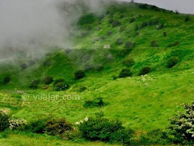 عکس شماره 7 - جنگل فندقلو اردبیل