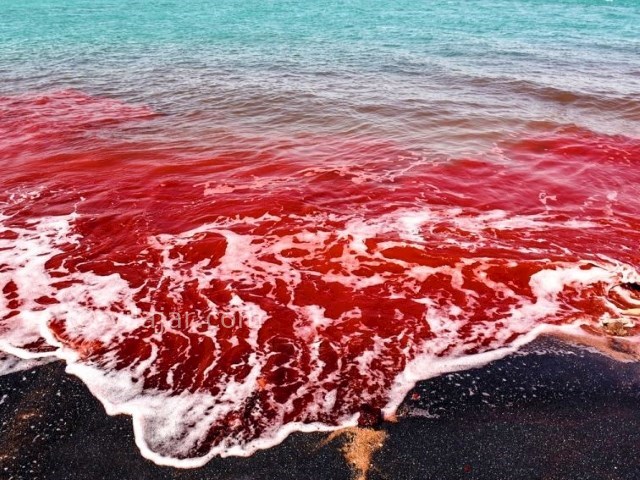 عکس اصلی شماره 1 - ساحل سرخ جزیره هرمز