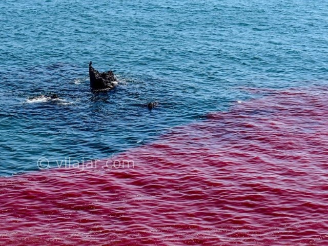 عکس شماره 5 - ساحل سرخ جزیره هرمز