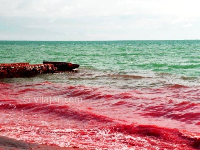 عکس شماره 6 - ساحل سرخ جزیره هرمز