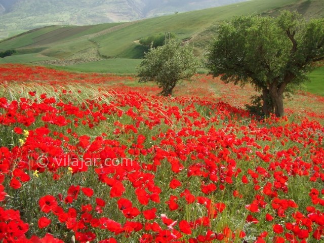 عکس اصلی شماره 2 - روستای پلکانی پالنگان