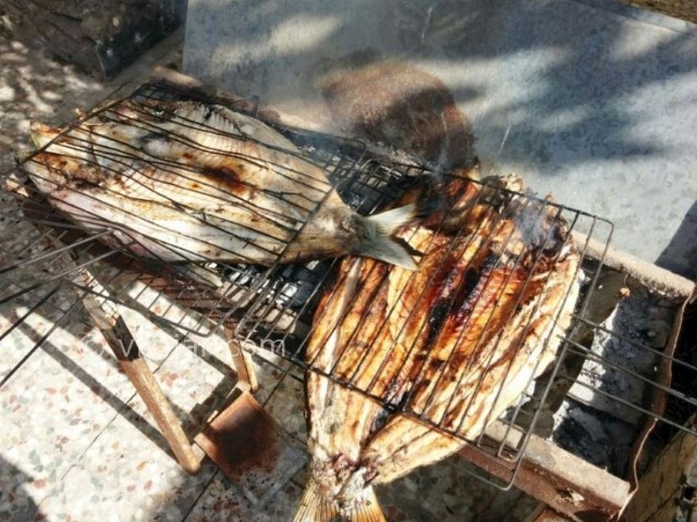 عکس شماره 11 - روستای پلکانی پالنگان