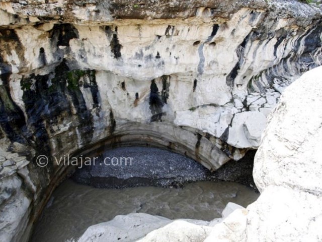 عکس شماره 5 - تَنگ رازیانه