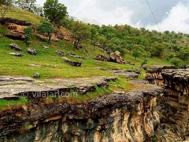 عکس شماره 7 - تَنگ رازیانه