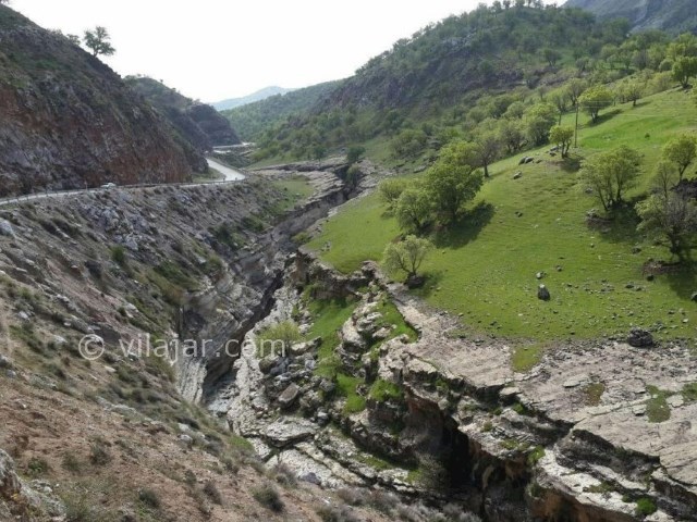 عکس شماره 8 - تَنگ رازیانه