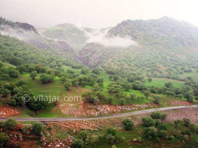 عکس شماره 11 - تَنگ رازیانه