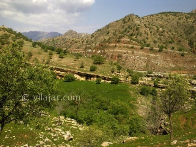 عکس شماره 12 - تَنگ رازیانه