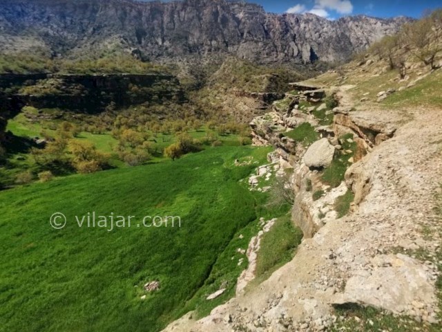 عکس شماره 13 - تَنگ رازیانه