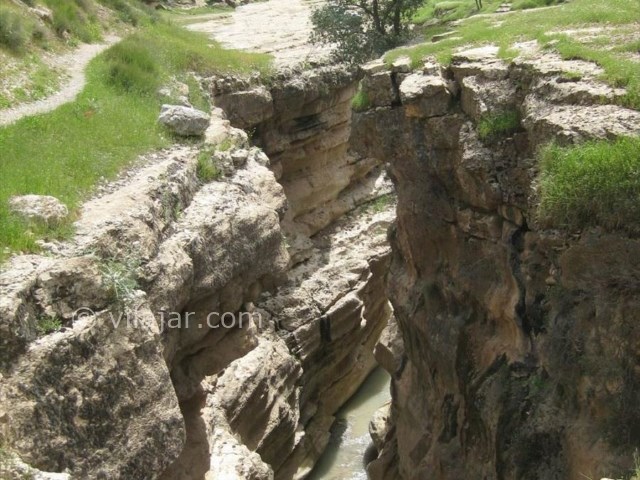 عکس شماره 15 - تَنگ رازیانه