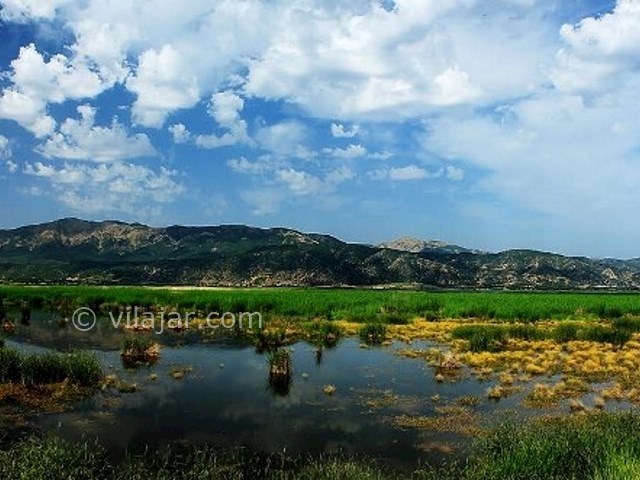 عکس شماره 4 - دریاچه زریوار