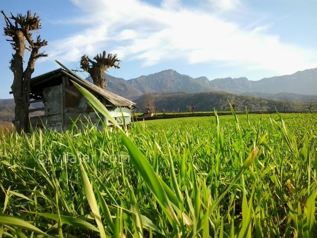 عکس اصلی شماره 1 - روستای نوچمن