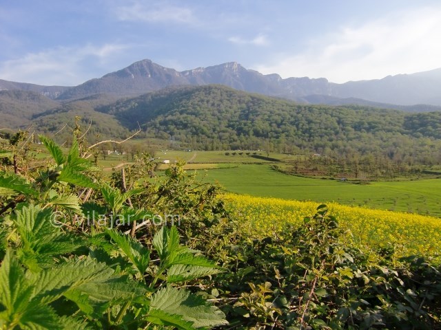 عکس اصلی شماره 2 - روستای نوچمن