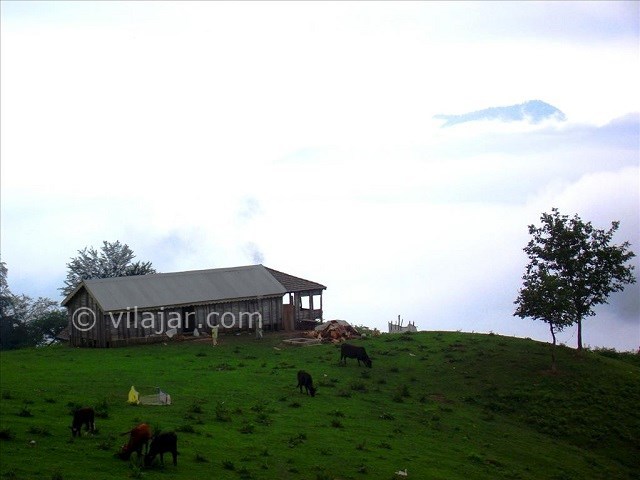 عکس شماره 8 - دهکده ییلاقی اولسبلنگاه