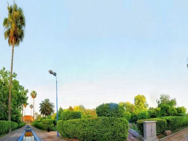 عکس شماره 4 - باغ دلگشا شیراز