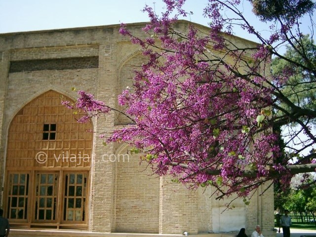 عکس شماره 6 - باغ دلگشا شیراز
