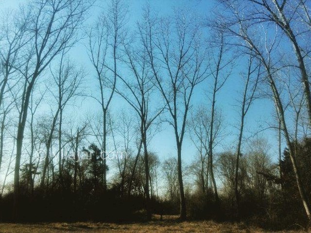 عکس شماره 6 - روستای ازباران