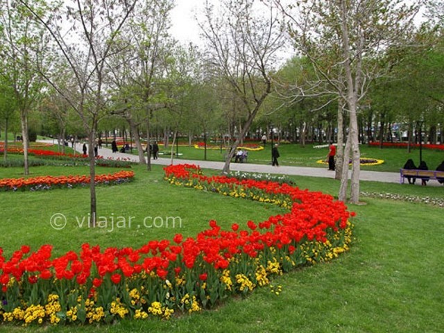عکس شماره 4 - باغ گل مشهد
