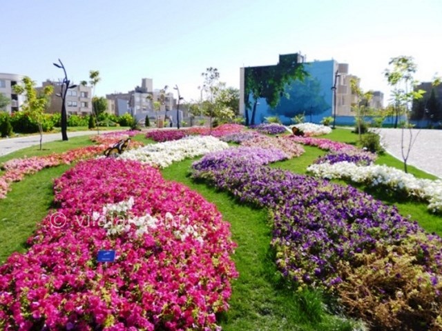 عکس شماره 7 - باغ گل مشهد