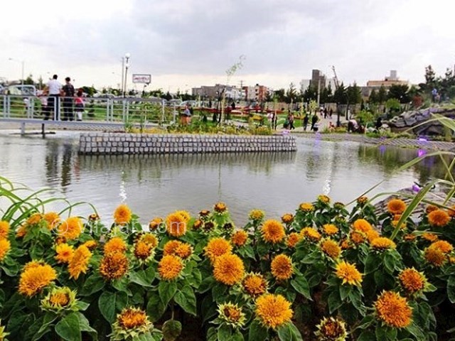 عکس اصلی شماره 8 - باغ گل مشهد